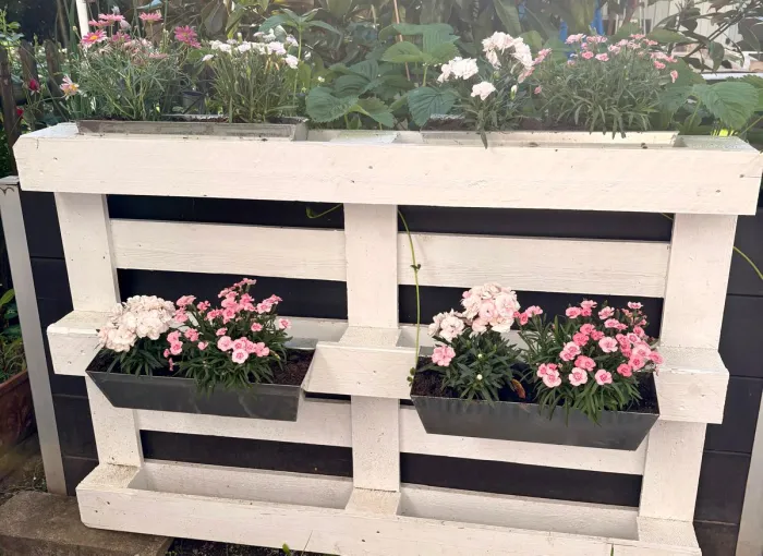 Bepflanzte Palette mit Pflanzeinsätzen und bunten Blumen